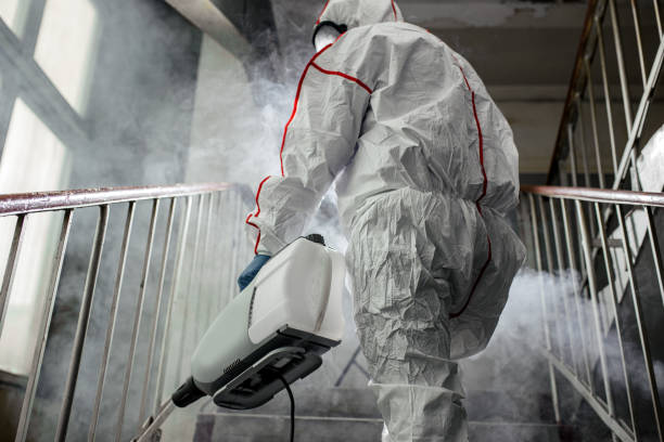 Why You Should Choose Our Mold Remediation Services in Gardner, IL